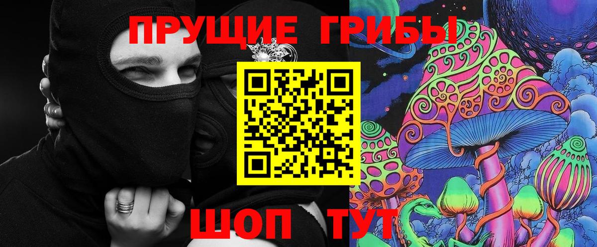 Мытищи  Псилоцибиновые грибы GOLDEN TEACHER  Вход с VPN 